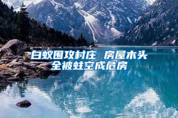 白蟻圍攻村莊 房屋木頭全被蛀空成危房