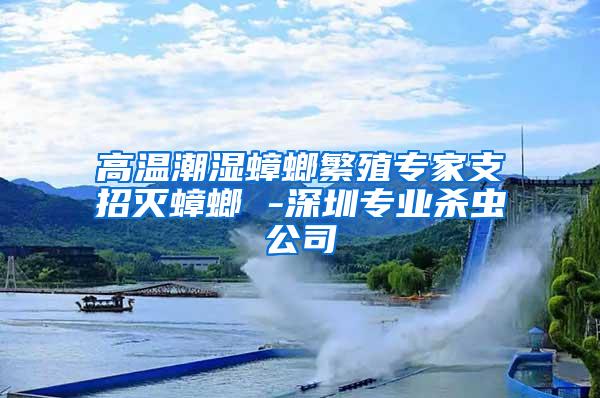 高溫潮濕蟑螂繁殖專家支招滅蟑螂 -深圳專業(yè)殺蟲公司