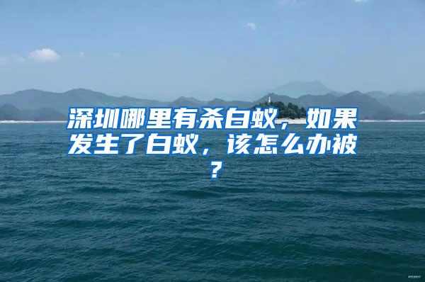 深圳哪里有殺白蟻，如果發(fā)生了白蟻，該怎么辦被？