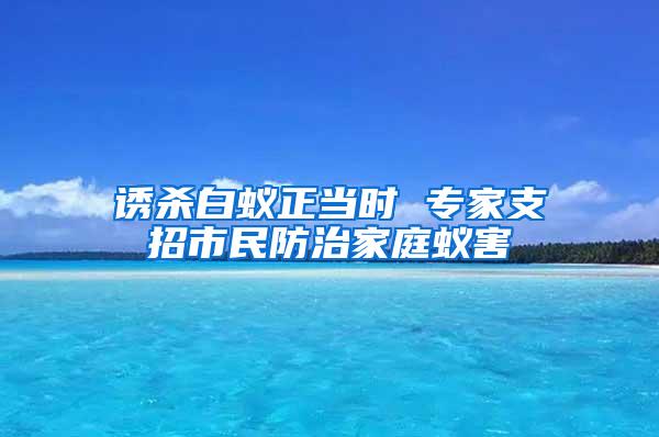 誘殺白蟻正當(dāng)時(shí) 專家支招市民防治家庭蟻害