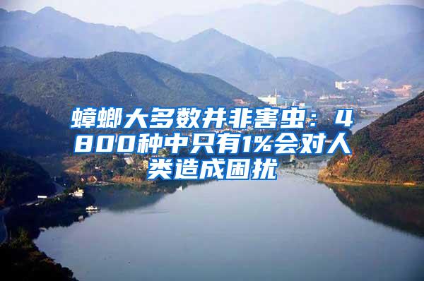 蟑螂大多數(shù)并非害蟲：4800種中只有1%會對人類造成困擾