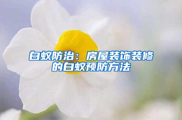 白蟻防治：房屋裝飾裝修的白蟻預(yù)防方法