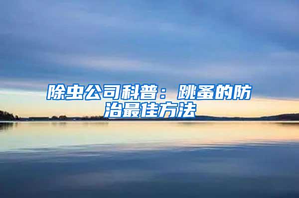 除蟲公司科普：跳蚤的防治最佳方法