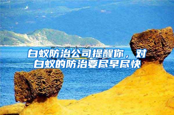 白蟻防治公司提醒你，對白蟻的防治要盡早盡快