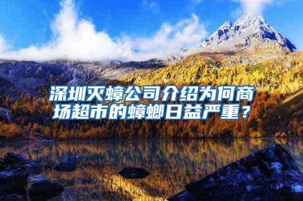 深圳滅蟑公司介紹為何商場超市的蟑螂日益嚴重？