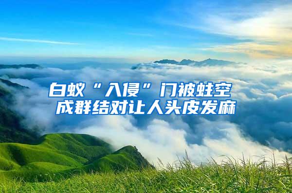 白蟻“入侵”門被蛀空 成群結(jié)對讓人頭皮發(fā)麻