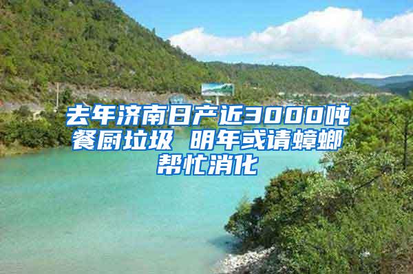 去年濟南日產(chǎn)近3000噸餐廚垃圾 明年或請蟑螂幫忙消化