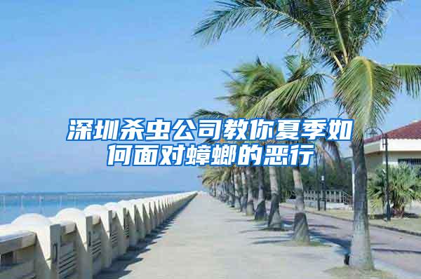 深圳殺蟲公司教你夏季如何面對(duì)蟑螂的惡行