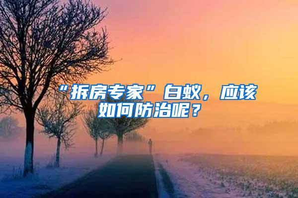 “拆房專家”白蟻，應(yīng)該如何防治呢？