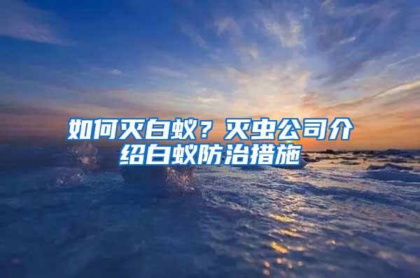 如何滅白蟻？滅蟲公司介紹白蟻防治措施