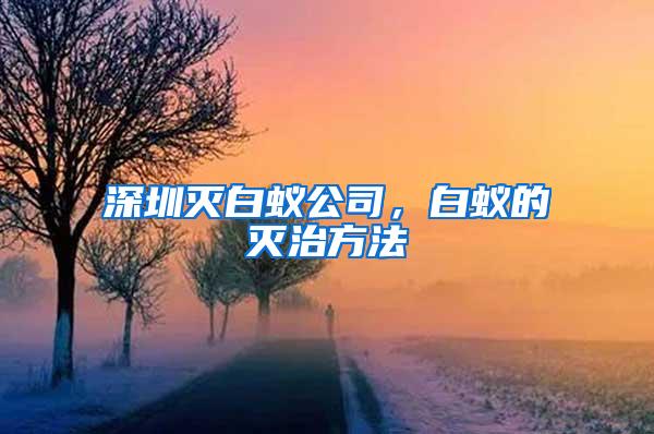 深圳滅白蟻公司，白蟻的滅治方法