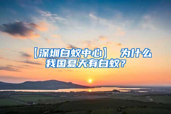 【深圳白蟻中心】 為什么我國夏天有白蟻？