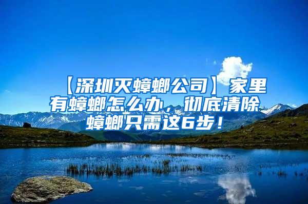 【深圳滅蟑螂公司】家里有蟑螂怎么辦，徹底清除蟑螂只需這6步！