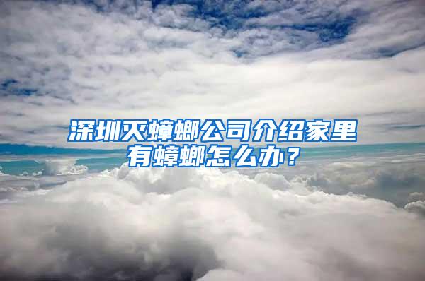 深圳滅蟑螂公司介紹家里有蟑螂怎么辦？