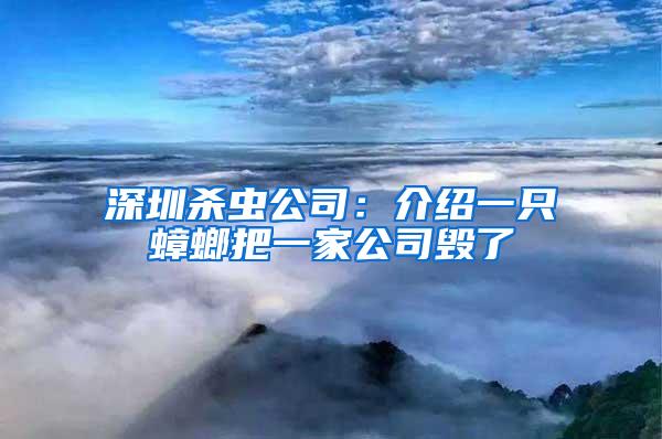 深圳殺蟲(chóng)公司：介紹一只蟑螂把一家公司毀了