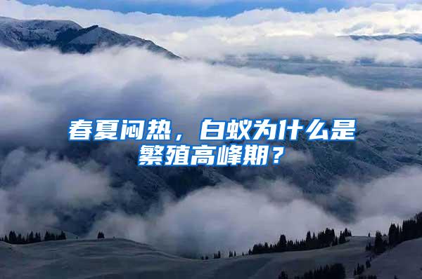 春夏悶熱，白蟻為什么是繁殖高峰期？