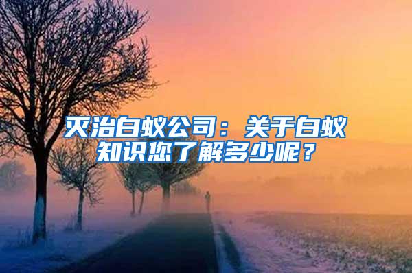 滅治白蟻公司：關于白蟻知識您了解多少呢？