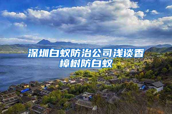 深圳白蟻防治公司淺談香樟樹(shù)防白蟻