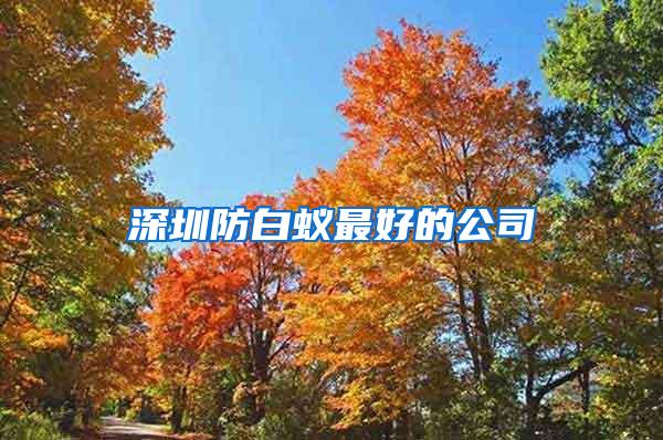 深圳防白蟻?zhàn)詈玫墓?/></p>
             <p style=