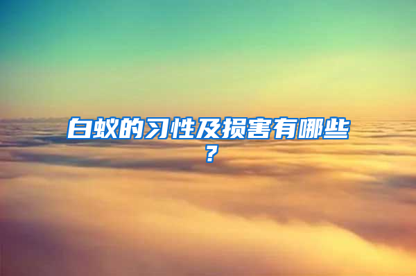 白蟻的習性及損害有哪些？