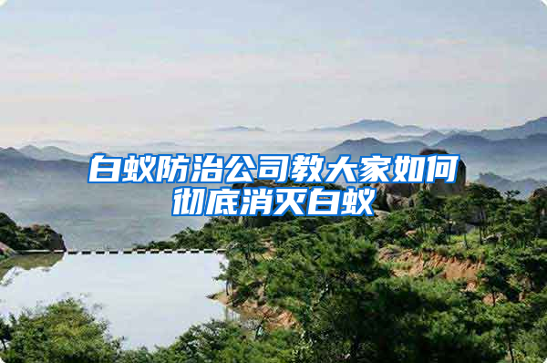 白蟻防治公司教大家如何徹底消滅白蟻