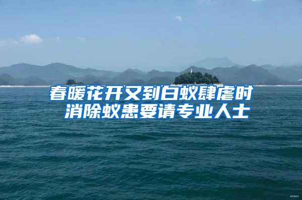 春暖花開又到白蟻肆虐時 消除蟻患要請專業(yè)人士