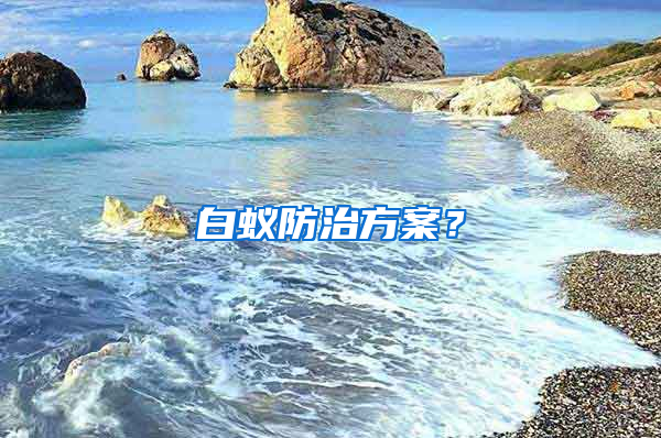 白蟻防治方案？