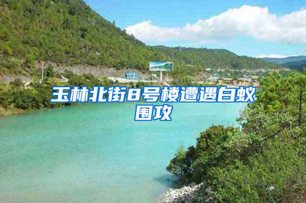 玉林北街8號樓遭遇白蟻圍攻