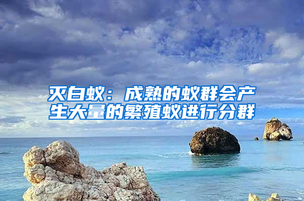 滅白蟻：成熟的蟻群會(huì)產(chǎn)生大量的繁殖蟻進(jìn)行分群