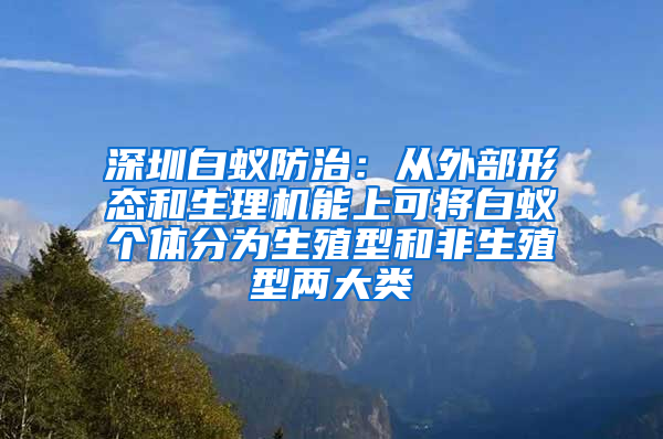 深圳白蟻防治：從外部形態(tài)和生理機(jī)能上可將白蟻個(gè)體分為生殖型和非生殖型兩大類