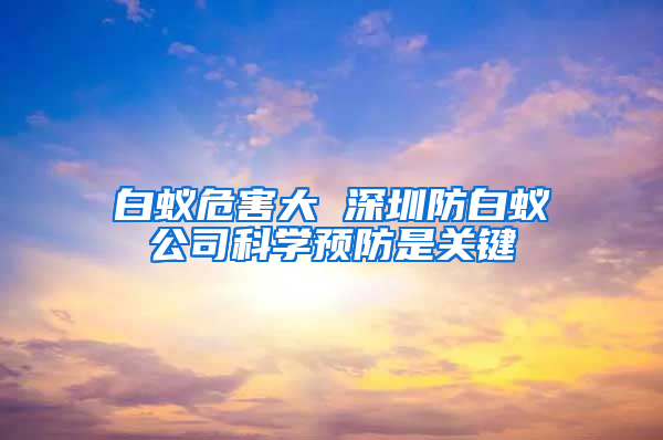 白蟻危害大 深圳防白蟻公司科學(xué)預(yù)防是關(guān)鍵