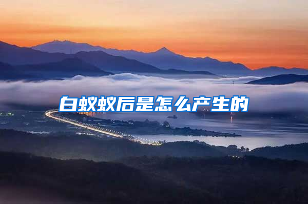 白蟻蟻后是怎么產(chǎn)生的