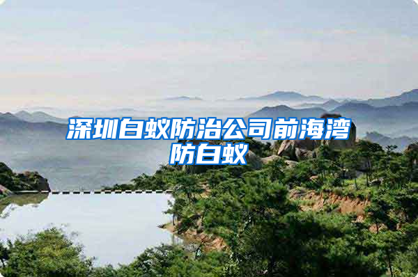 深圳白蟻防治公司前海灣防白蟻