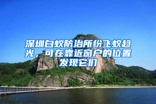 深圳白蟻防治所紛飛蟻趨光，可在靠近窗戶的位置發(fā)現(xiàn)它們