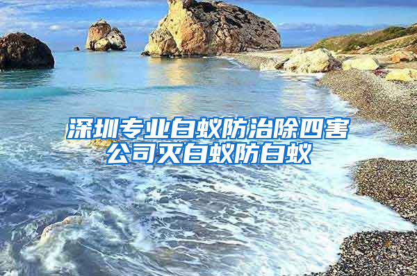 深圳專業(yè)白蟻防治除四害公司滅白蟻防白蟻