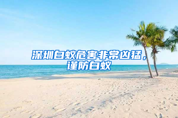 深圳白蟻危害非常兇猛，謹(jǐn)防白蟻