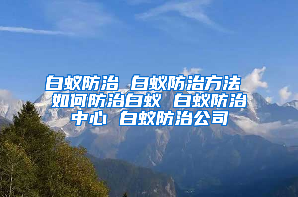 白蟻防治 白蟻防治方法 如何防治白蟻 白蟻防治中心 白蟻防治公司