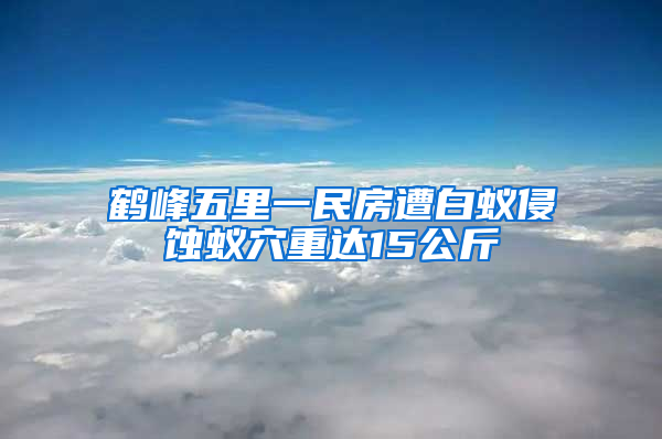 鶴峰五里一民房遭白蟻侵蝕蟻穴重達(dá)15公斤