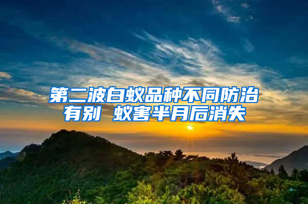 第二波白蟻品種不同防治有別 蟻害半月后消失