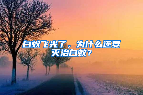 白蟻飛光了，為什么還要滅治白蟻？