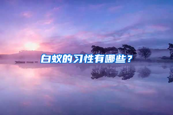 白蟻的習(xí)性有哪些？