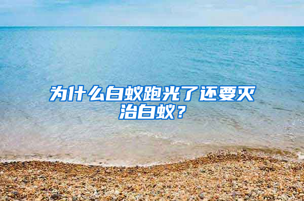 為什么白蟻跑光了還要滅治白蟻？