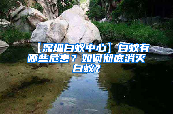 【深圳白蟻中心】白蟻有哪些危害？如何徹底消滅白蟻？