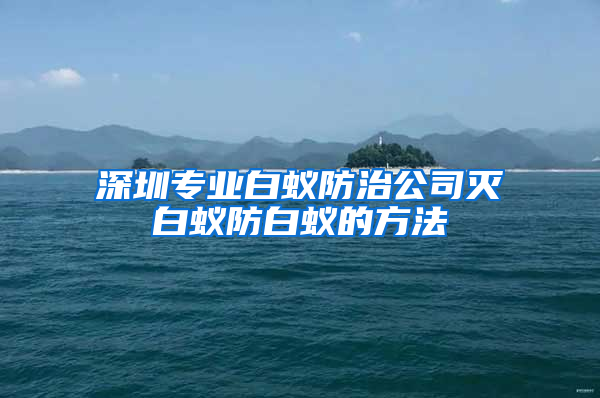 深圳專業(yè)白蟻防治公司滅白蟻防白蟻的方法