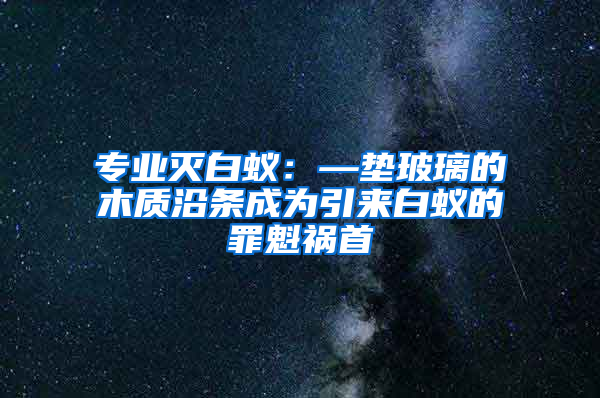 專業(yè)滅白蟻：—墊玻璃的木質(zhì)沿條成為引來白蟻的罪魁禍首