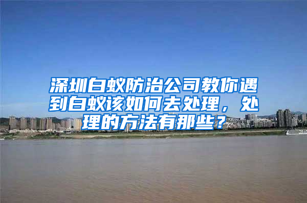 深圳白蟻防治公司教你遇到白蟻該如何去處理，處理的方法有那些？