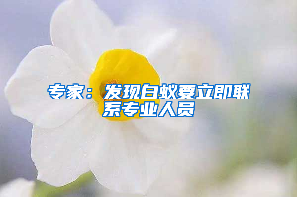 專家：發(fā)現(xiàn)白蟻要立即聯(lián)系專業(yè)人員