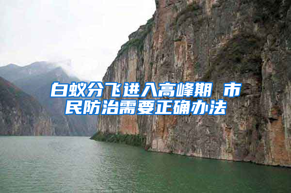 白蟻分飛進入高峰期 市民防治需要正確辦法