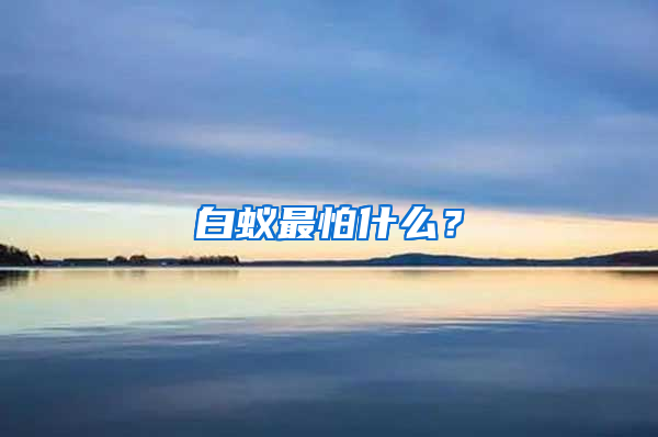 白蟻?zhàn)钆率裁矗?/></p>
             <p style=