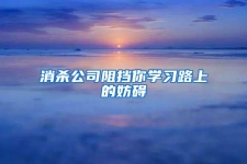 消殺公司阻擋你學(xué)習(xí)路上的妨礙